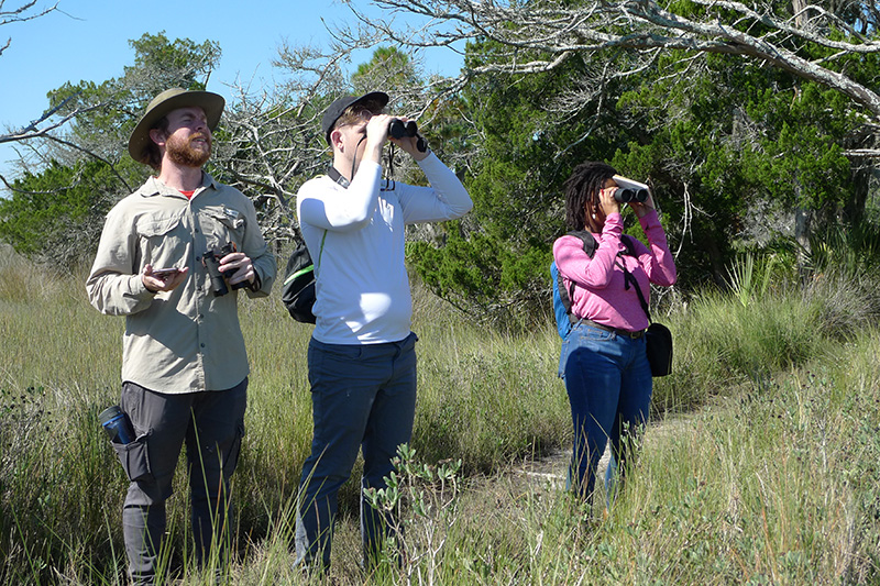 Doctoral students from the Odum School of Ecology observe the landscape of Sapelo Island, Georgia, as part of an ecology course in 2022.