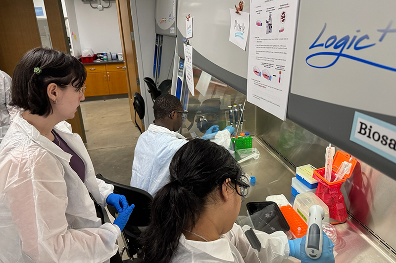 Kyndra Higgins working in the lab with other students