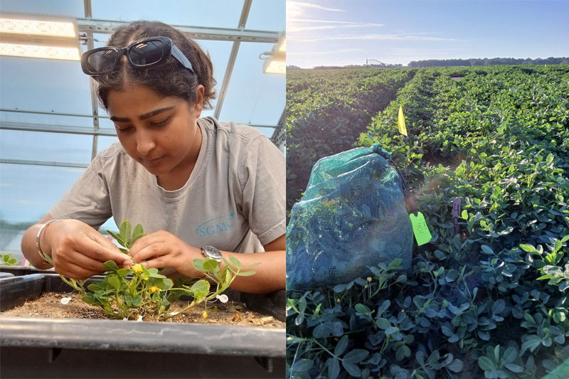 photo of Anshul, 2025 UGA 3MT Grand Prize Winner, and her research