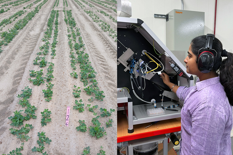 photo of Anshul, 2025 UGA 3MT Grand Prize Winner, and her research