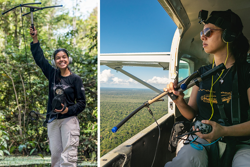 Wezddy Del Toro Orozco with jaguar tracking equipment